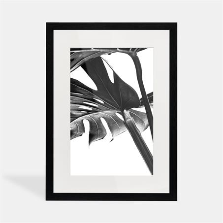 تابلو دکوراتیو بلمونت؛ گیاه برگ انجیری سیاه و سفید